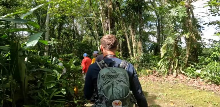 Les 5 meilleures destinations abordables pour explorer la Malaisie à moindre coût