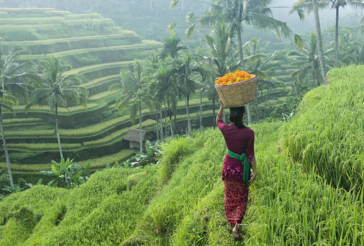 Saison des Pluies en Malaisie 