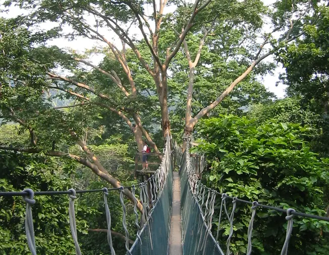 FRIM Forest Skywalk