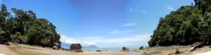 Bako