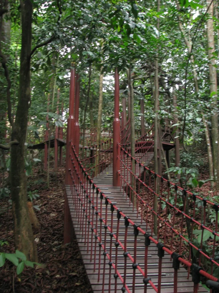 Bukit Nanas KL Forest Eco Park