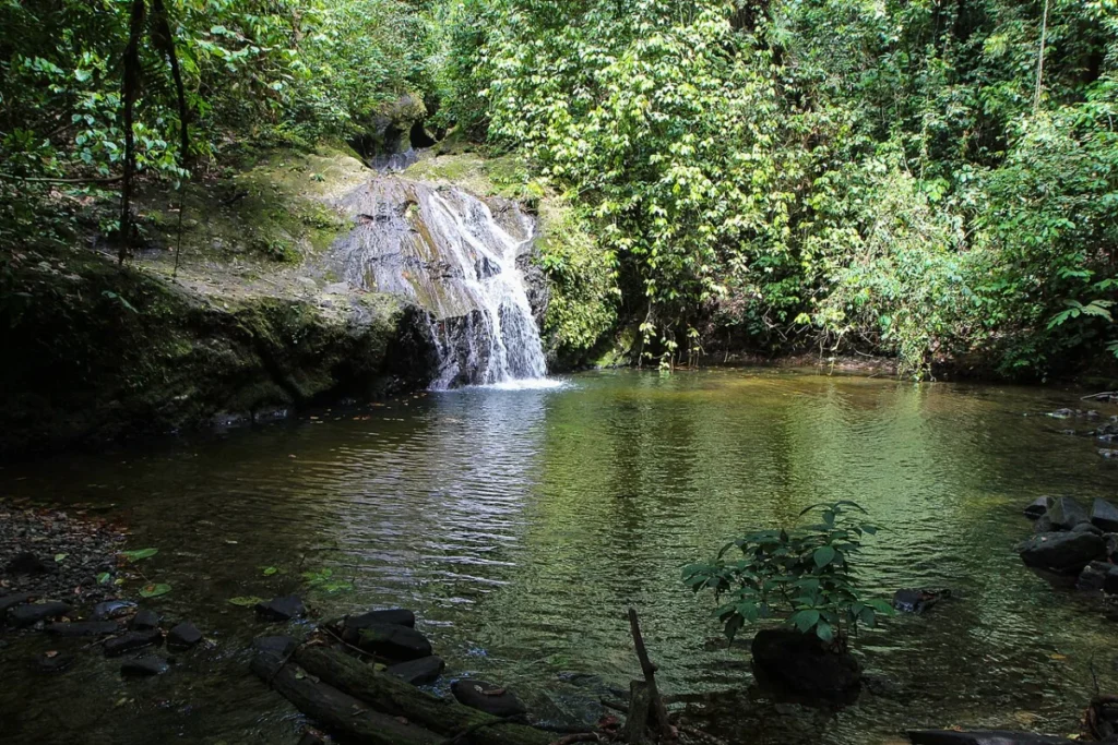 Danum Valley - File:Jacuzzi Pool @ Danum Valley (11822569103).jpg