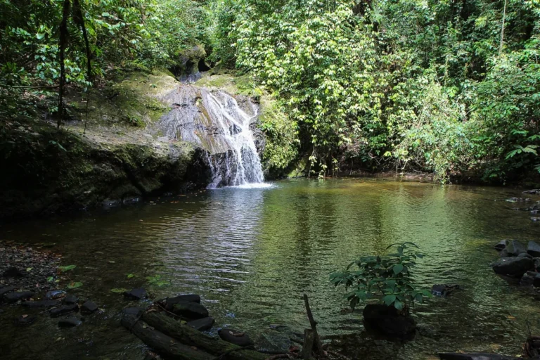 Danum Valley