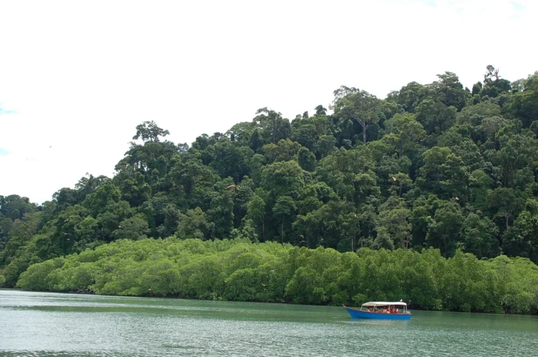 Dayang Bunting Marble Geoforest Park