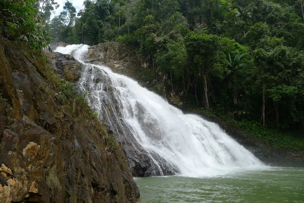 Endau-Rompin - File:20170415T041318 Lat 2 27 10.40302801 N Long 103 14 16.59757194 E.jpg