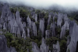 Gunung Mulu