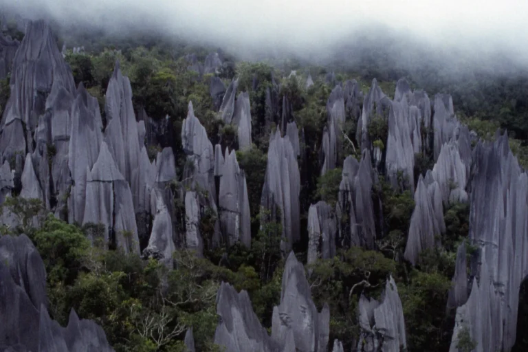 Gunung Mulu