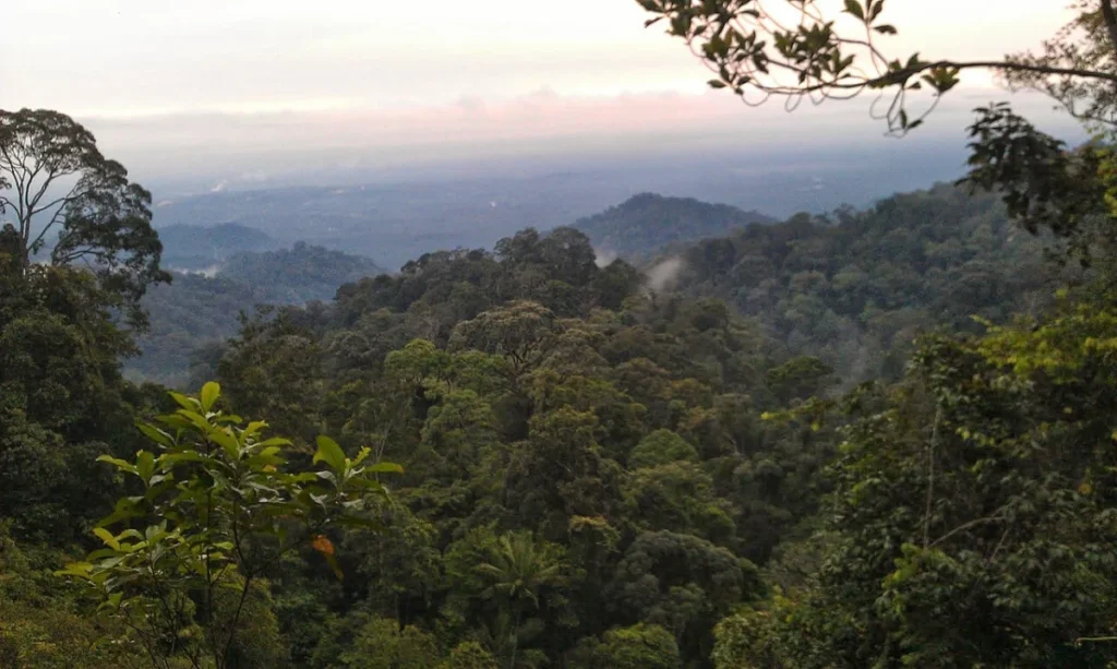 Johor Bahru Pulai - File:Gunung Pulai - panoramio.jpg