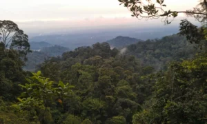 Johor Bahru Pulai
