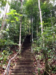 Lambir Hills