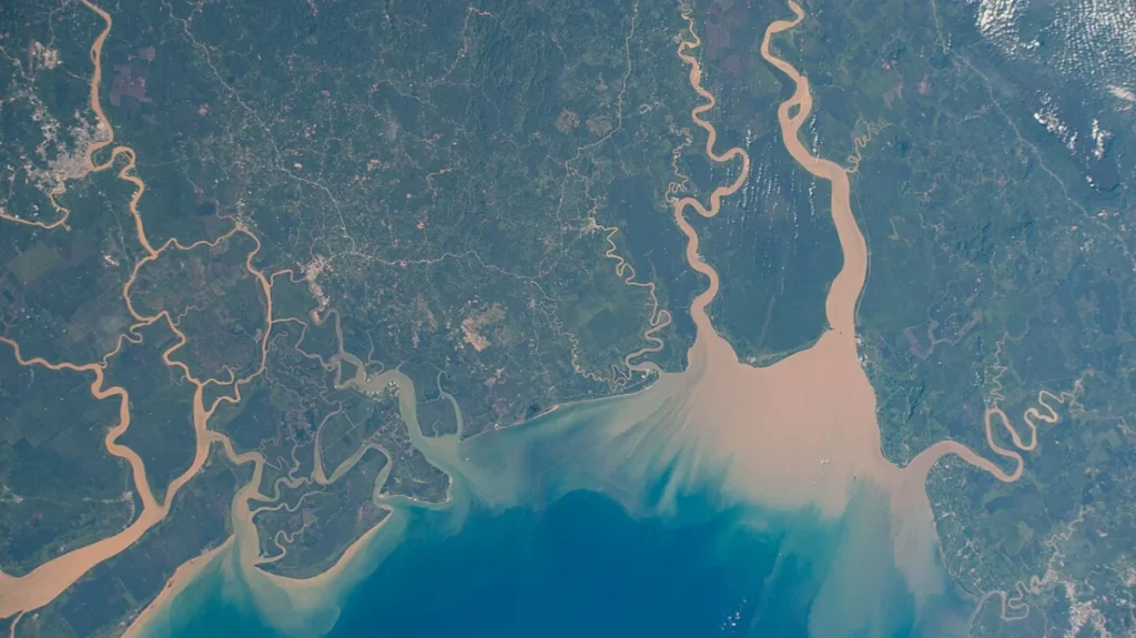 Maludam - File:ISS-67 Maludam National Park in East Malaysia.jpg