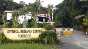 Semenggoh Wildlife Centre