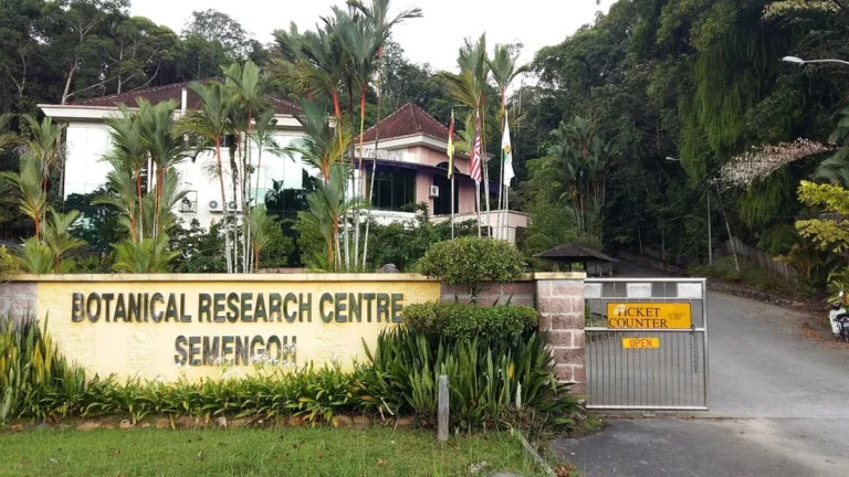 Semenggoh Wildlife Centre