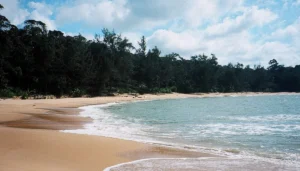 Similajau