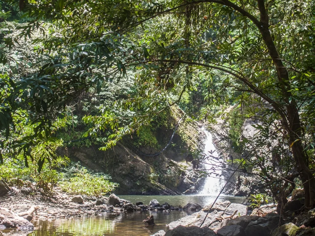 Tabin Wildlife Reserve - File:Waterfall in Tabin Wildlife Reserve (14839821669).jpg