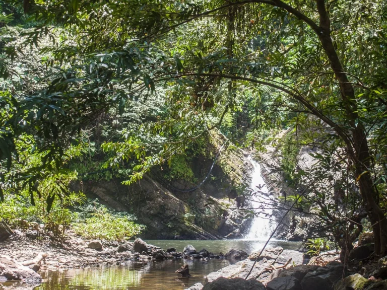 Tabin Wildlife Reserve